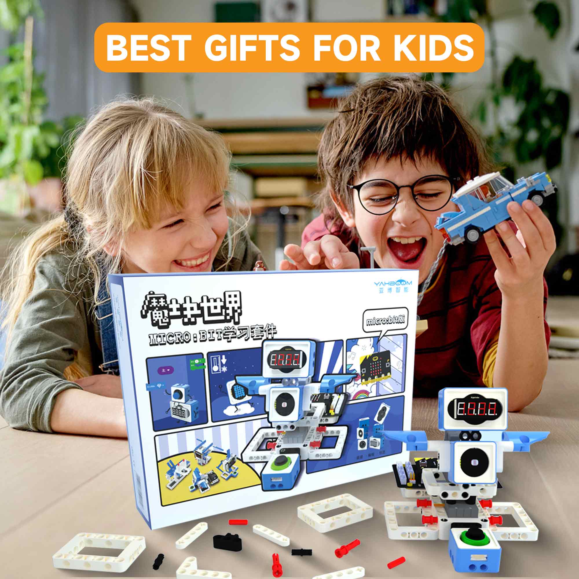 21 in 1 Microbit Robotics Kit  - огляд і ціна Microbit Robot